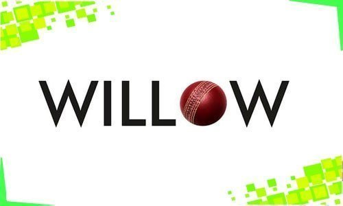 WILLOW TV LIVE